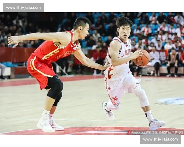 辽宁对阵新疆经典对决全场回放重播精彩瞬间战术深度解析看点